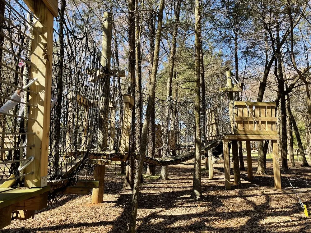 Trinity Forest Adventure Park logo