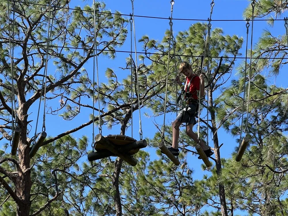 TreeUmph! Adventure Course image