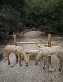 Pasadena Roving Archers