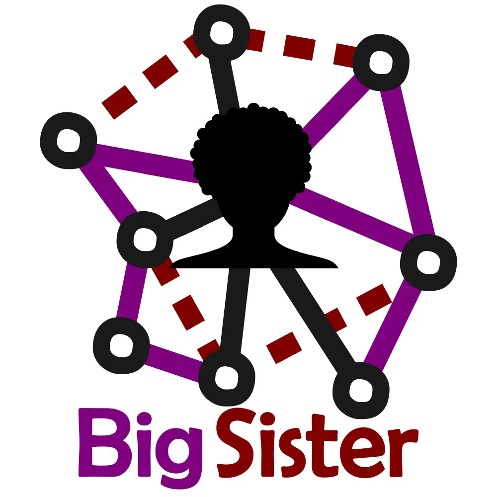 Big Sister Team Buildling image