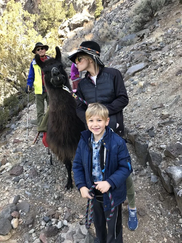 Wild Earth Llama Adventures image