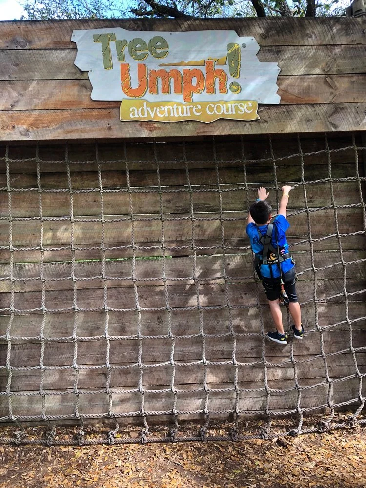 TreeUmph! Adventure Course image