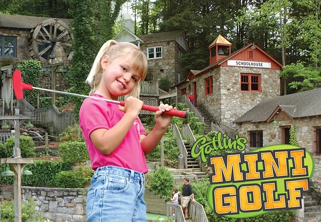 Gatlin's image