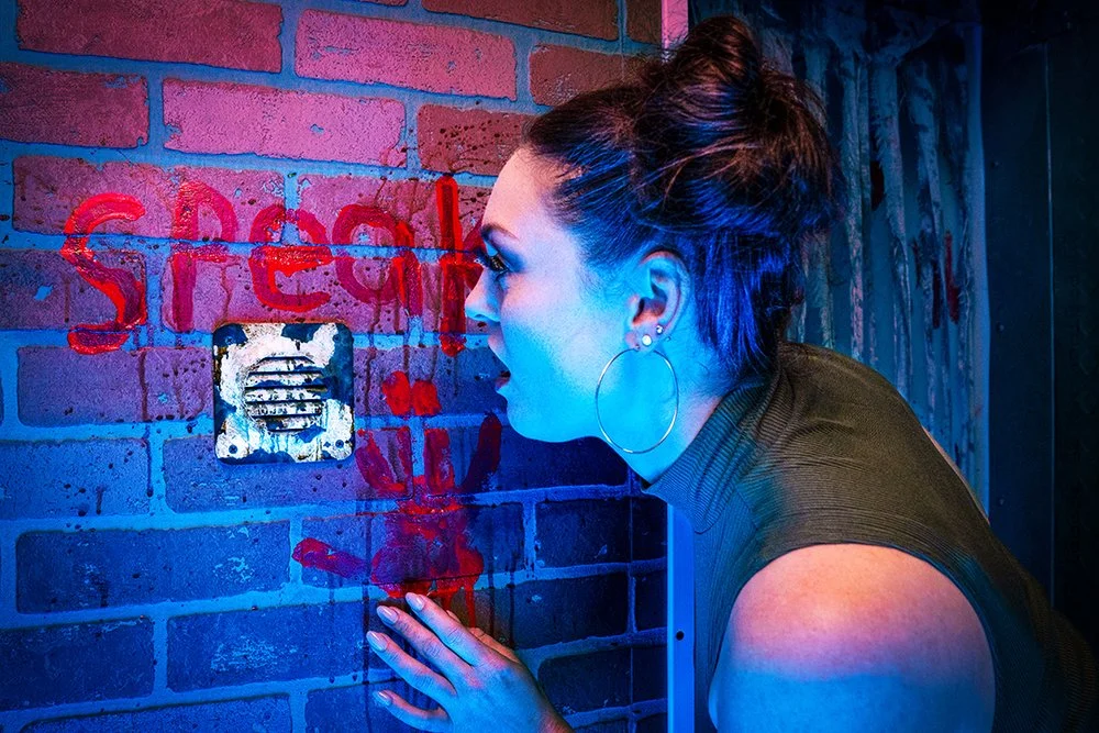 Wild Goose Escape Rooms - Fullerton image