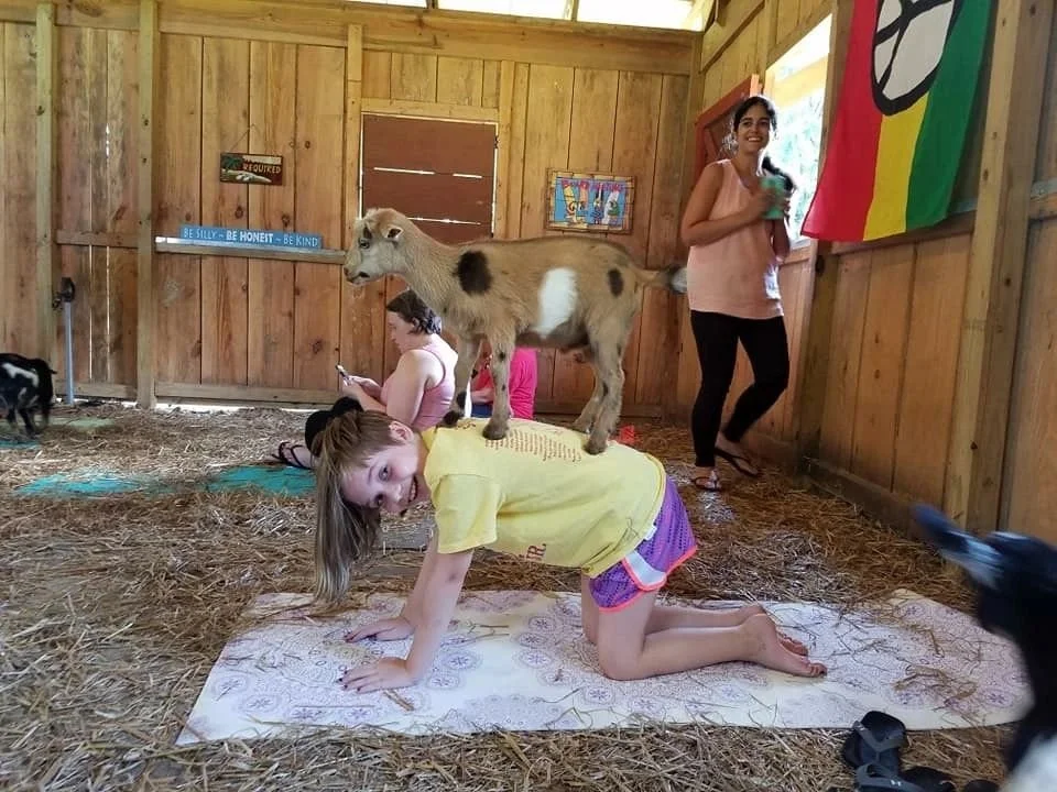 Goat Yoga Georgia image