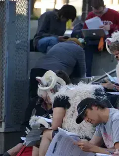 San Francisco Treasure Hunts