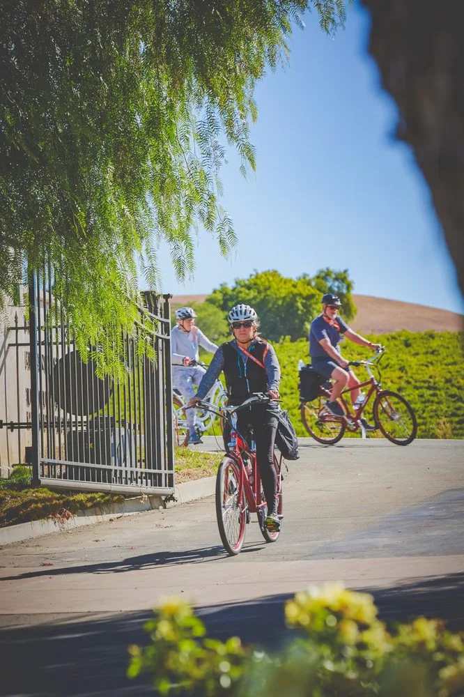 Pedego Electric Bikes Livermore image