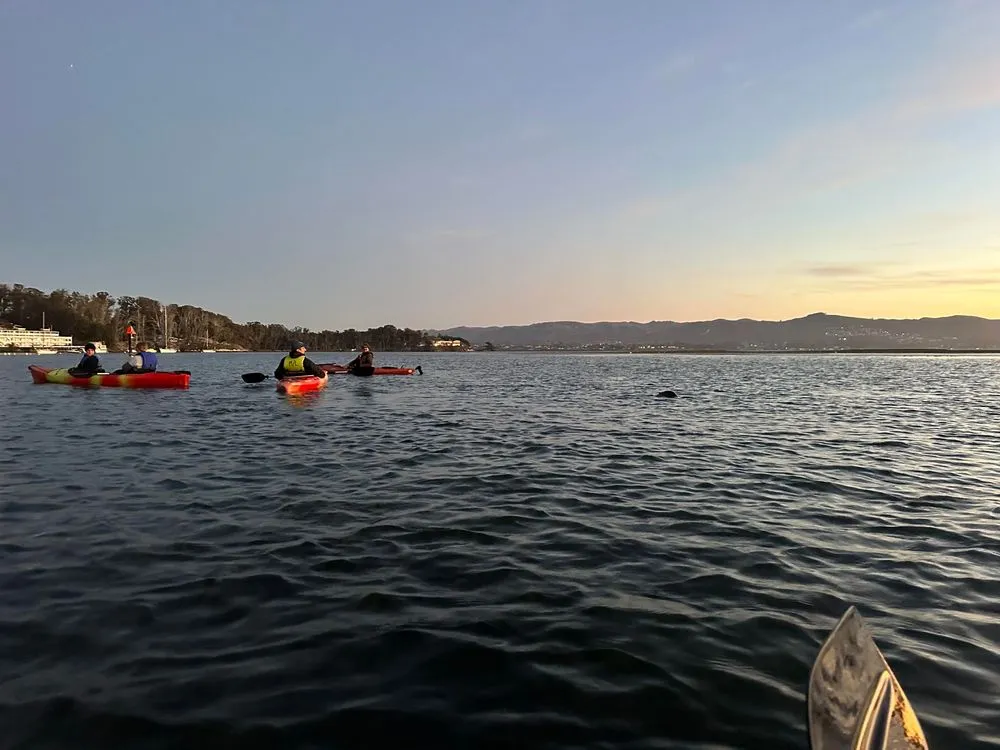 Central Coast Outdoors image