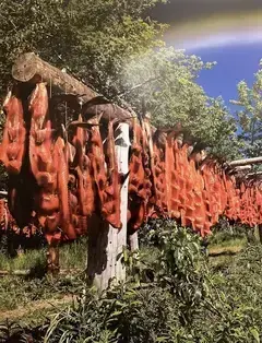 Alaska Native Heritage Center