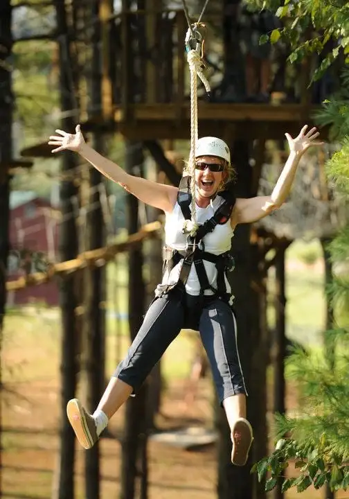 Beanstalk Zip Lines logo