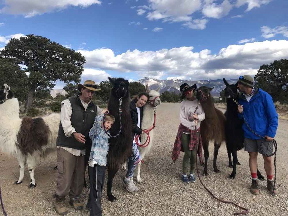 Wild Earth Llama Adventures image
