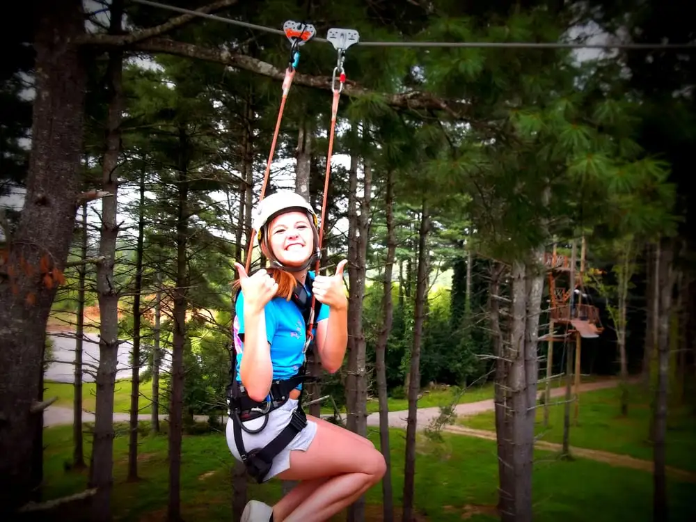 Beanstalk Zip Lines image