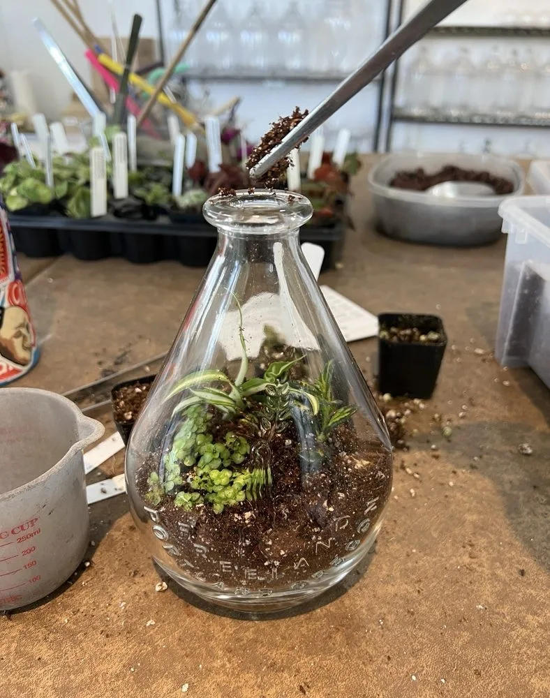 Roosevelt's Terrariums logo