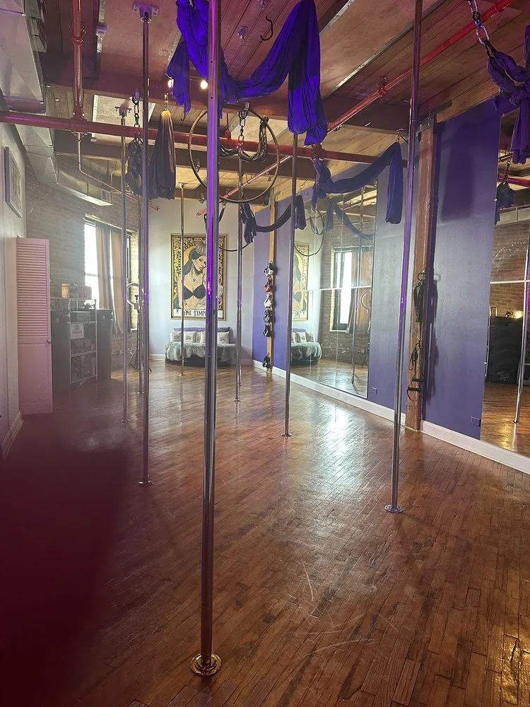 Indigo Studio  logo