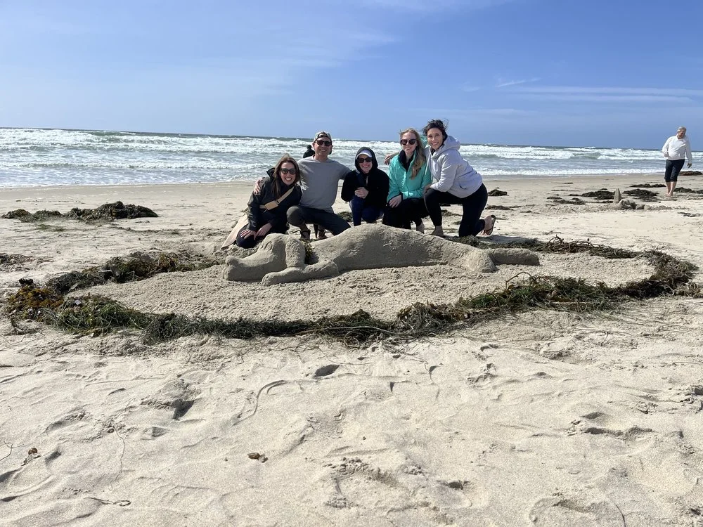 San Diego Sand Castles image