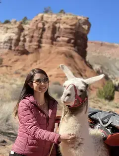 Wilderness Ridge Trail Llamas