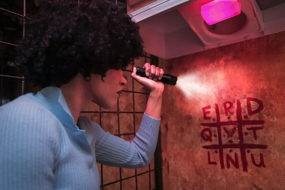 Wild Goose Escape Rooms - Huntington Beach image
