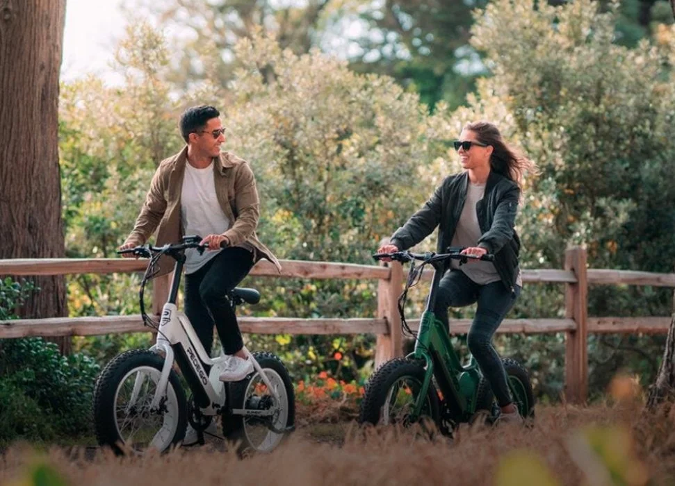Pedego Electric Bikes Boulder logo