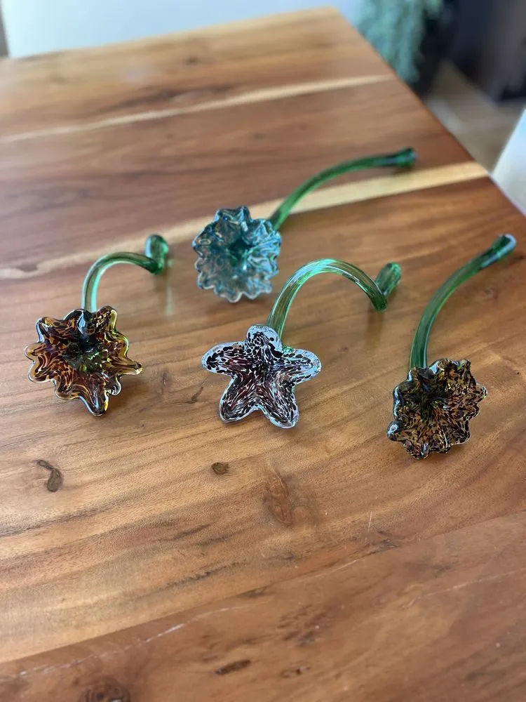 Sonoran Glass School image