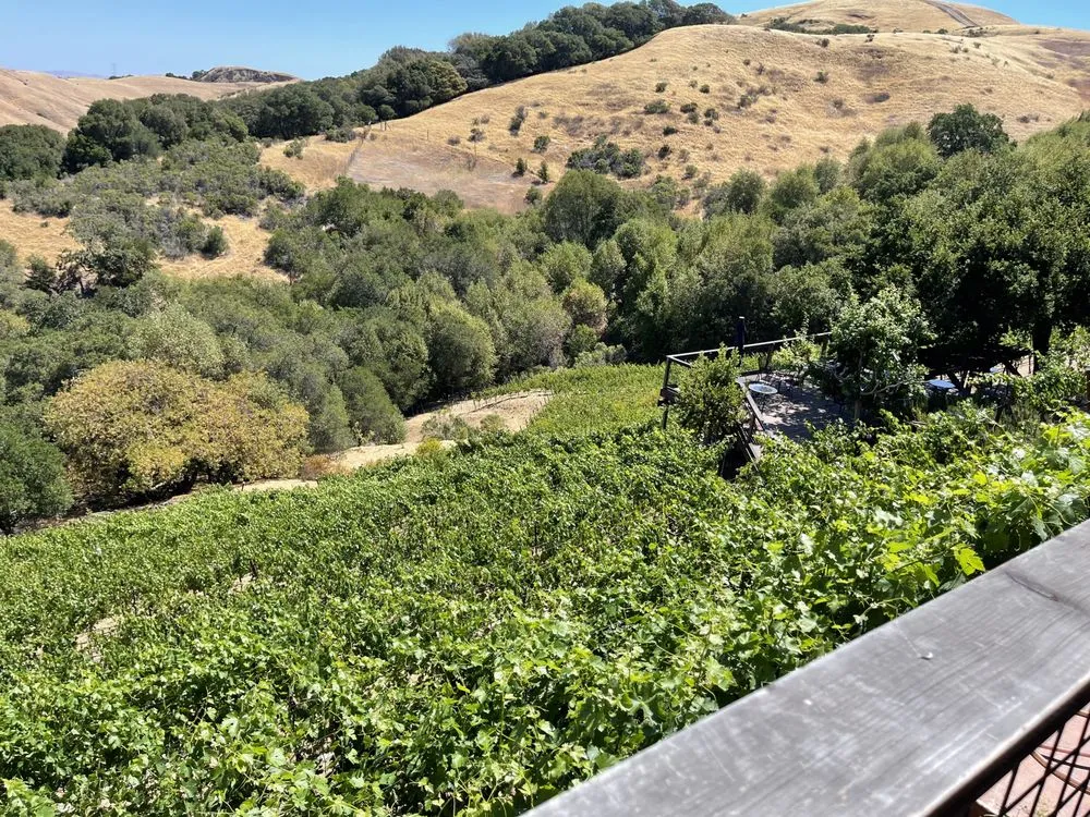 Captain Vineyards image