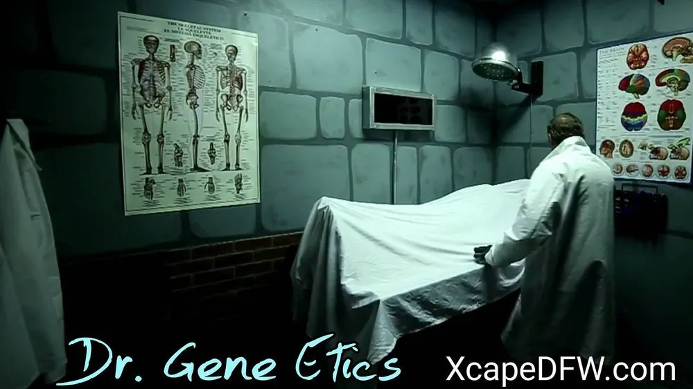 Xcape Adventures image