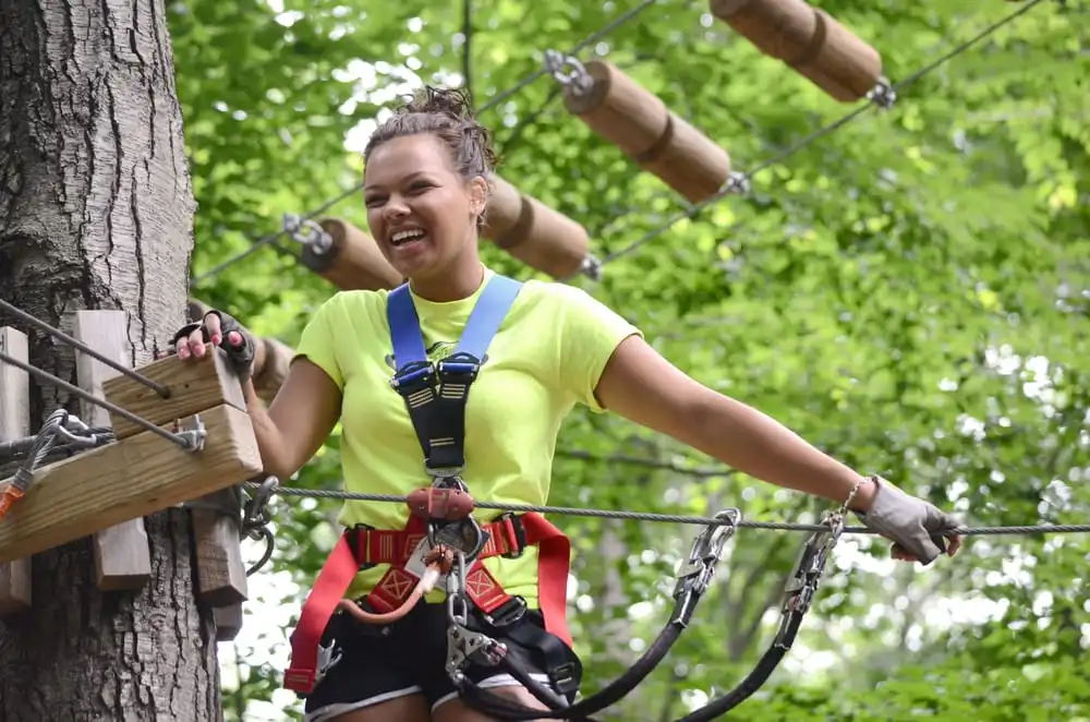 The Adventure Park At Heritage Museums & Gardens image