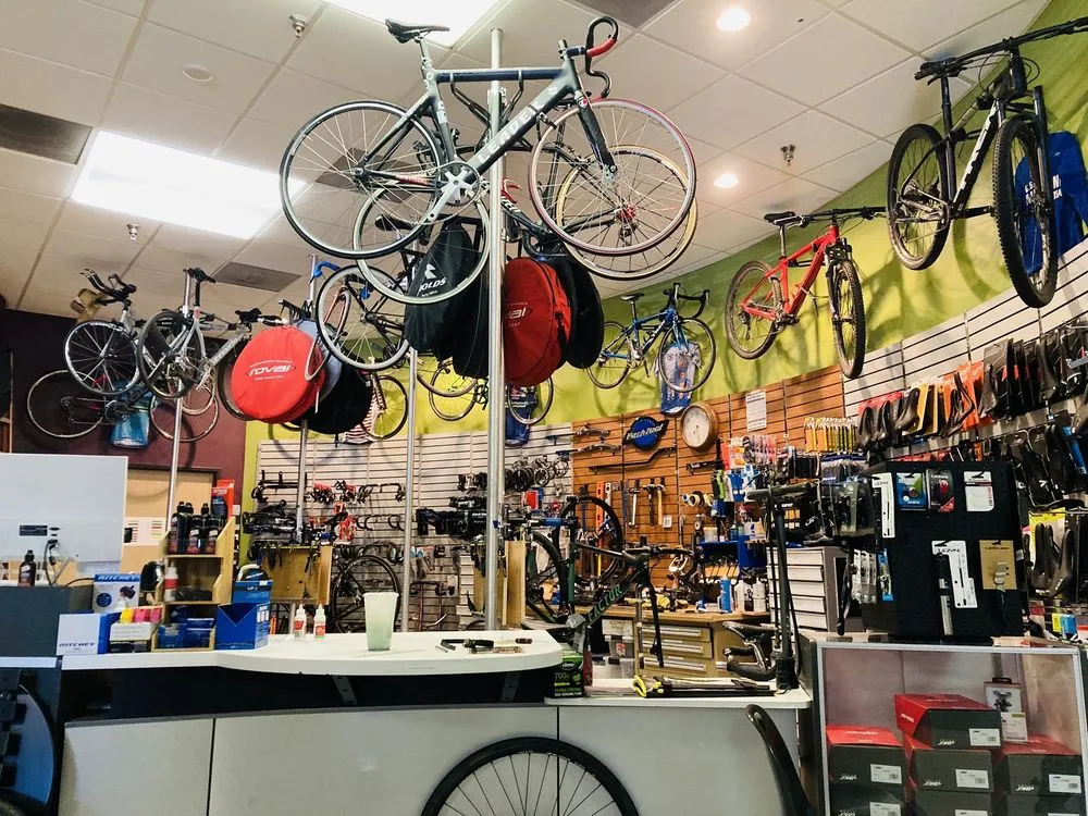 BC Fitness plus Cafe image