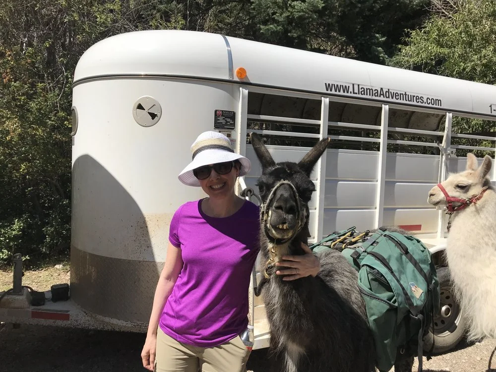 Wild Earth Llama Adventures image