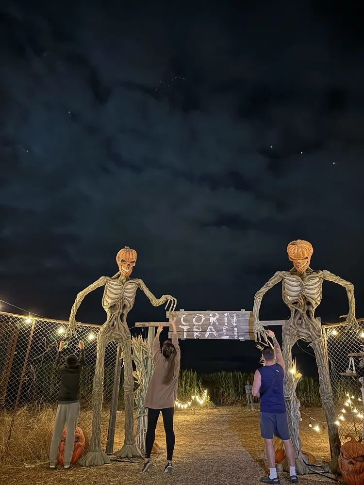 Corbetts House of Horrors image