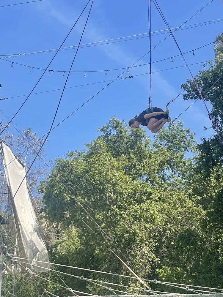 Trapeze High image
