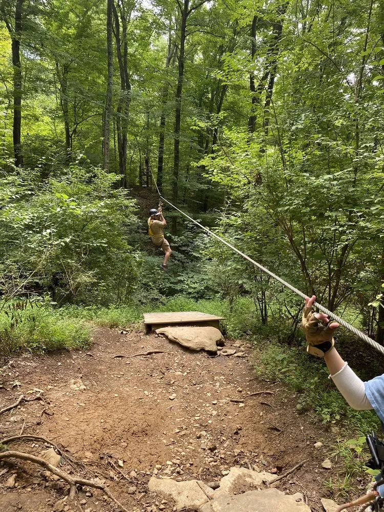 Adventureworks Zipline Forest at Fontanel image