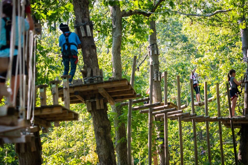 The Adventure Park At Heritage Museums & Gardens logo
