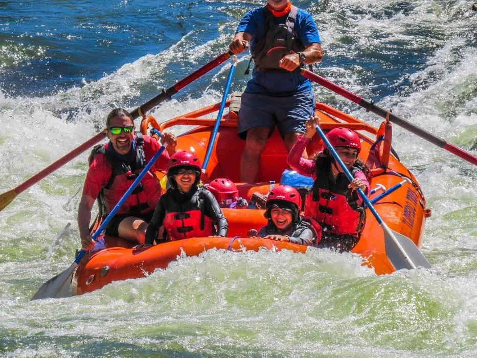 Orange Torpedo Trips image