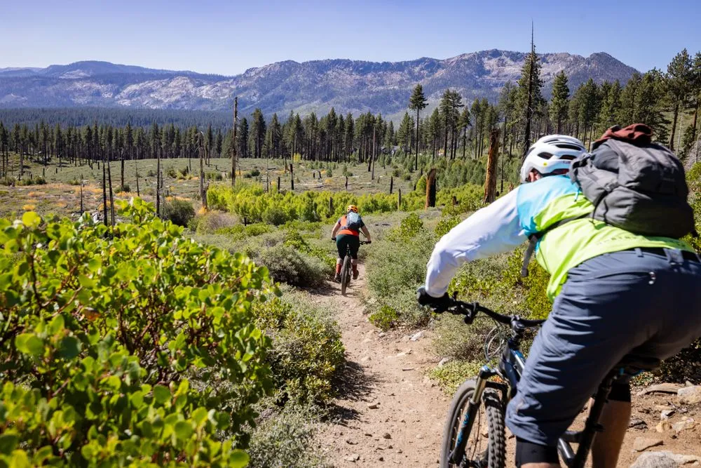 A Singletrack Mind image